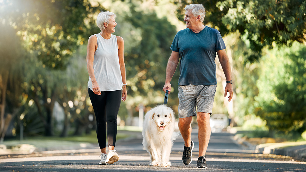 Couple reviewing financial plans, representing retirement planning